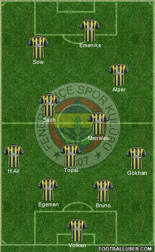 Fenerbahçe SK Formation 2013