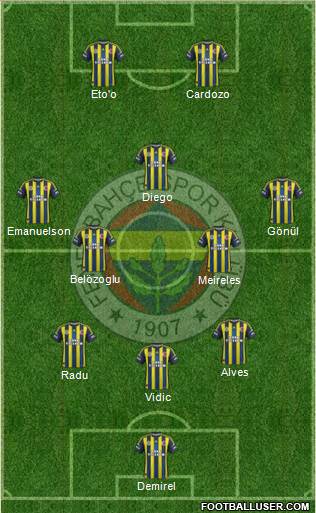 Fenerbahçe SK Formation 2013