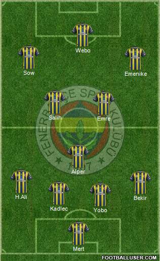 Fenerbahçe SK Formation 2013