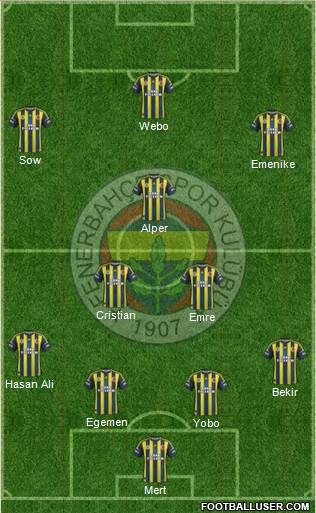 Fenerbahçe SK Formation 2013