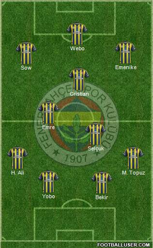 Fenerbahçe SK Formation 2013