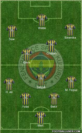 Fenerbahçe SK Formation 2013