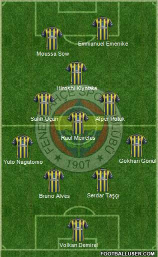 Fenerbahçe SK Formation 2013