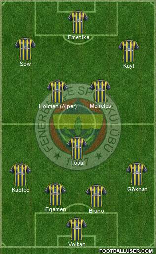 Fenerbahçe SK Formation 2013