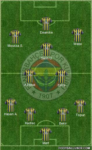 Fenerbahçe SK Formation 2013