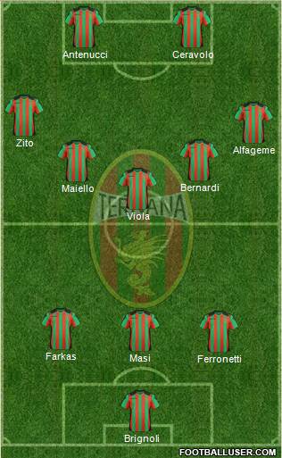 Ternana Formation 2013