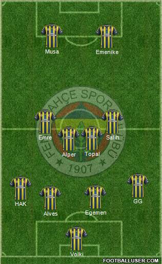 Fenerbahçe SK Formation 2013