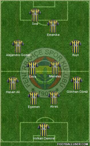 Fenerbahçe SK Formation 2013