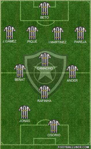 Botafogo FR Formation 2013