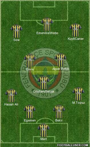 Fenerbahçe SK Formation 2013