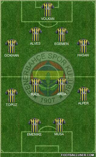 Fenerbahçe SK Formation 2013