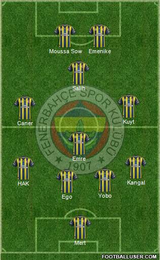 Fenerbahçe SK Formation 2013