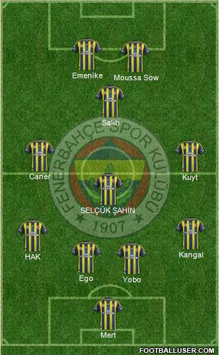 Fenerbahçe SK Formation 2013