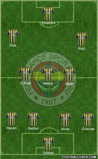 Fenerbahçe SK Formation 2013