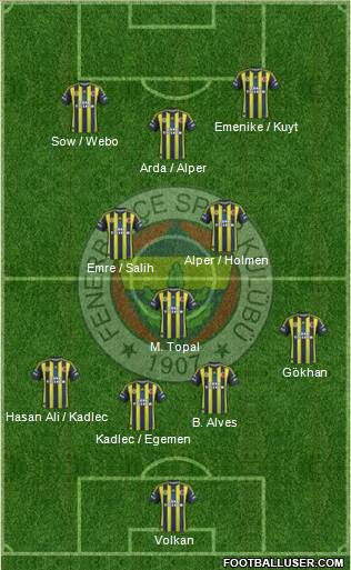 Fenerbahçe SK Formation 2013