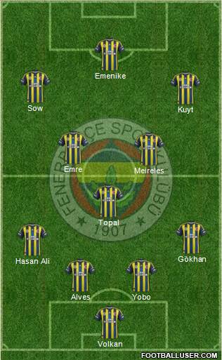 Fenerbahçe SK Formation 2013