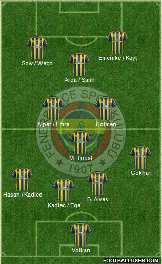 Fenerbahçe SK Formation 2013