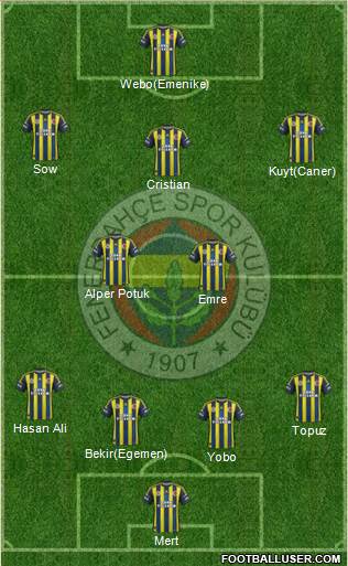 Fenerbahçe SK Formation 2013