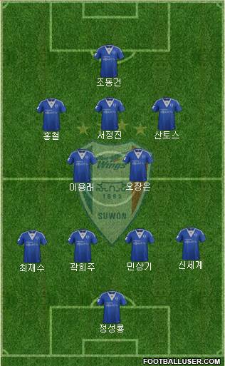 Suwon Samsung Blue Wings Formation 2013