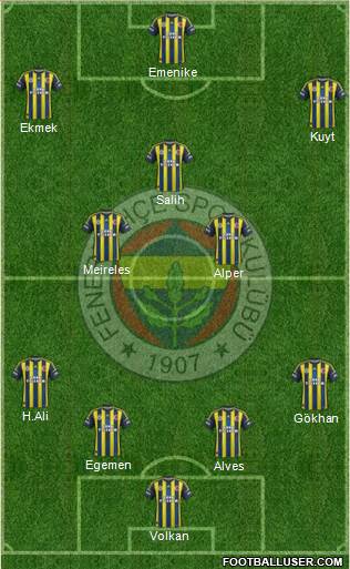 Fenerbahçe SK Formation 2013