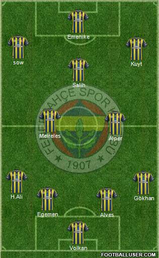 Fenerbahçe SK Formation 2013