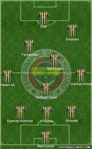 Fenerbahçe SK Formation 2013