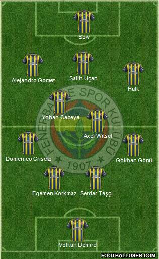 Fenerbahçe SK Formation 2013