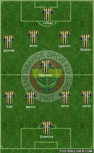 Fenerbahçe SK Formation 2013