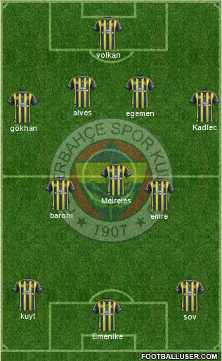 Fenerbahçe SK Formation 2013