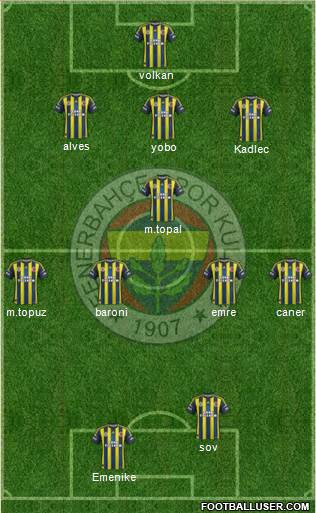 Fenerbahçe SK Formation 2013