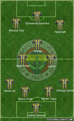 Fenerbahçe SK Formation 2013