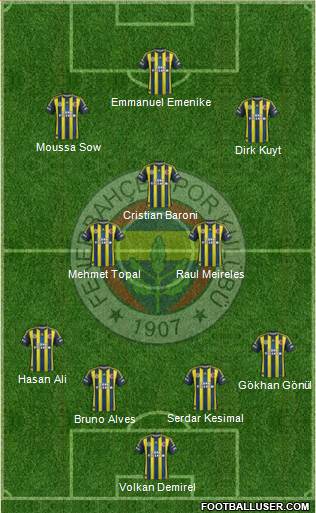 Fenerbahçe SK Formation 2013