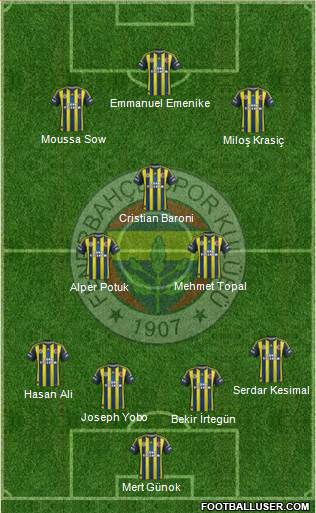 Fenerbahçe SK Formation 2013