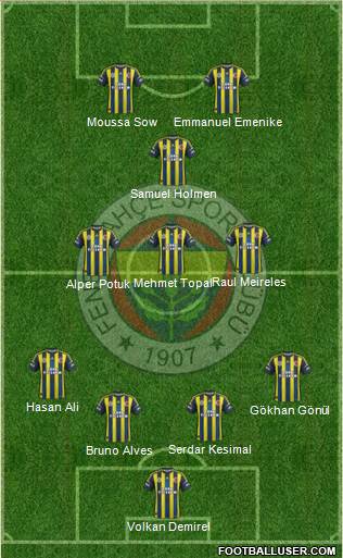 Fenerbahçe SK Formation 2013