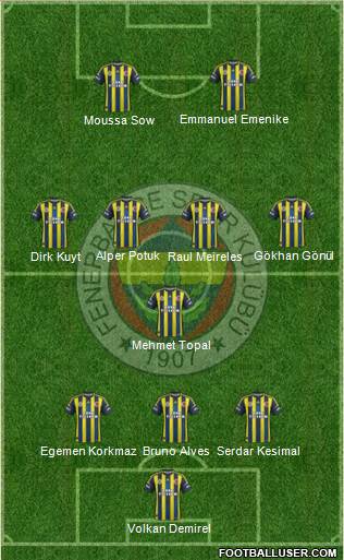 Fenerbahçe SK Formation 2013