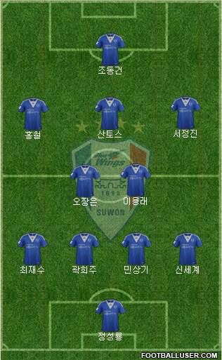 Suwon Samsung Blue Wings Formation 2013