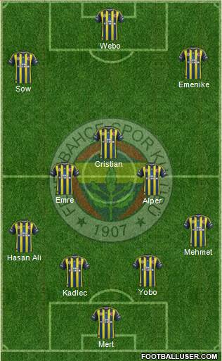 Fenerbahçe SK Formation 2013