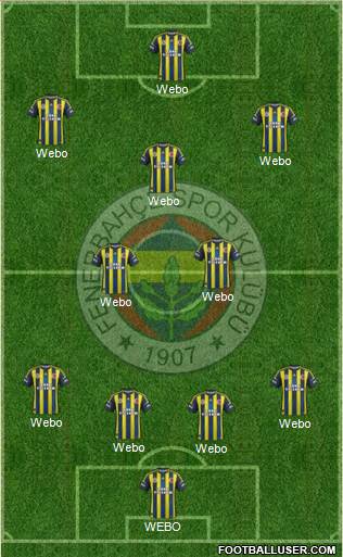 Fenerbahçe SK Formation 2013