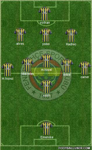 Fenerbahçe SK Formation 2013