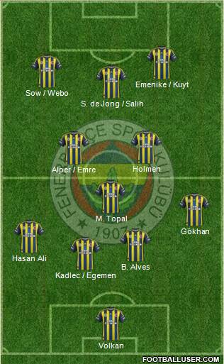 Fenerbahçe SK Formation 2013