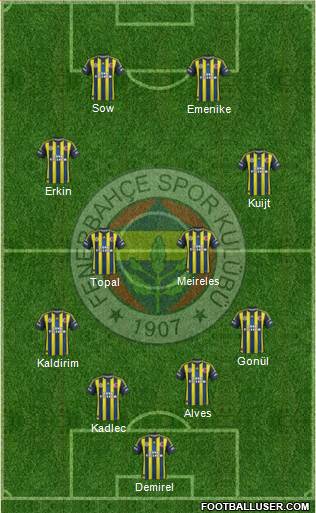 Fenerbahçe SK Formation 2013