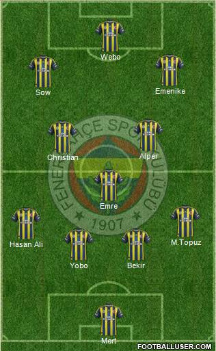 Fenerbahçe SK Formation 2013