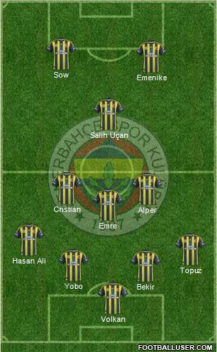 Fenerbahçe SK Formation 2013