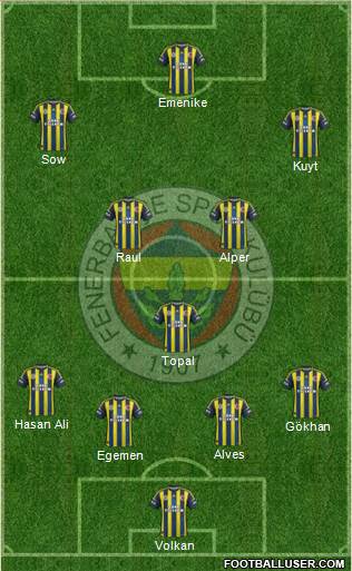 Fenerbahçe SK Formation 2013