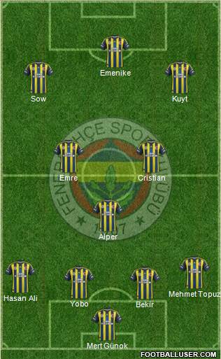 Fenerbahçe SK Formation 2013