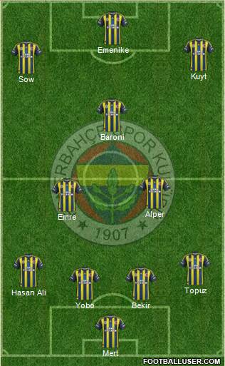 Fenerbahçe SK Formation 2013