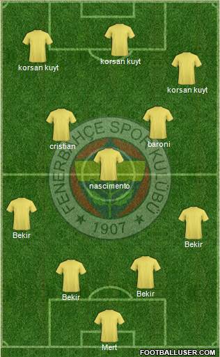 Fenerbahçe SK Formation 2013