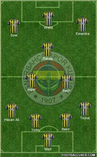 Fenerbahçe SK Formation 2013