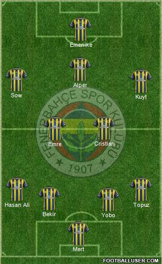 Fenerbahçe SK Formation 2013