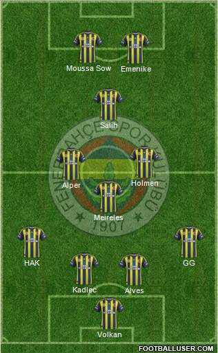 Fenerbahçe SK Formation 2013